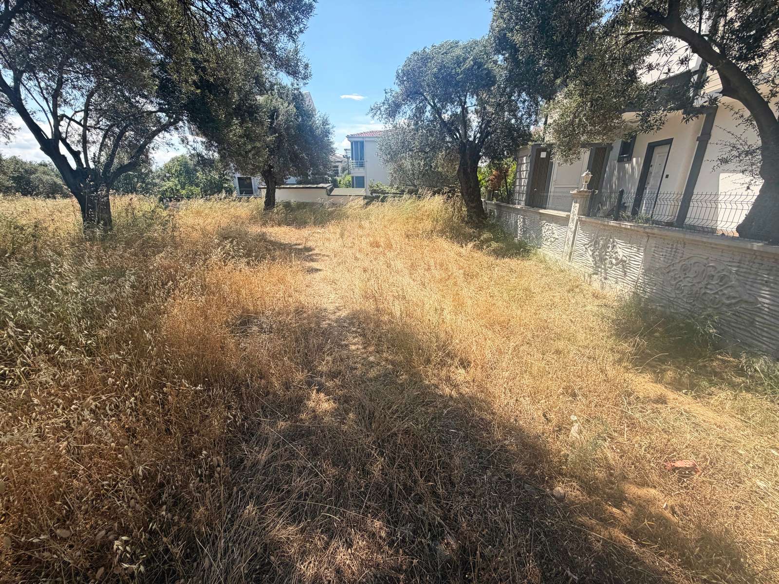 Arazi · Güre