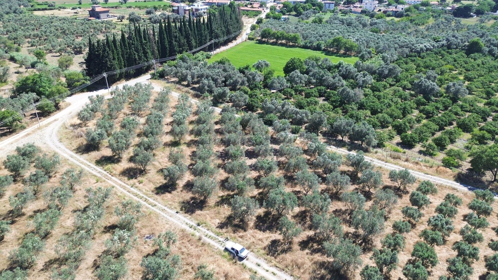 Çıkrıkçı'da Satılık Arsa, 4 Kat İmarlı, Yatırıma Uygun